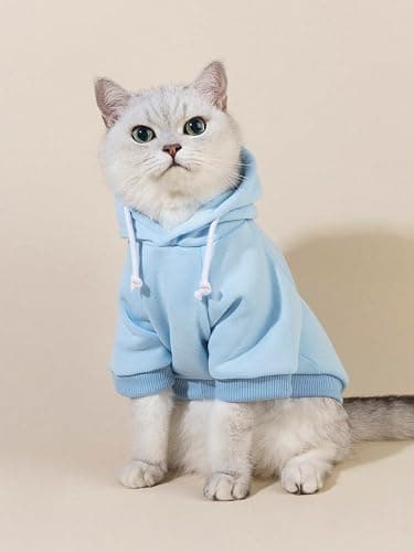 QWINEE Basic Dog Hoodie Sweatshirt Puppy Sweater Warm Cat Costumes Pet Clothes for Chihuahua Puppy Kitten Small Medium Dogs Light Blue Large thumbnail 3