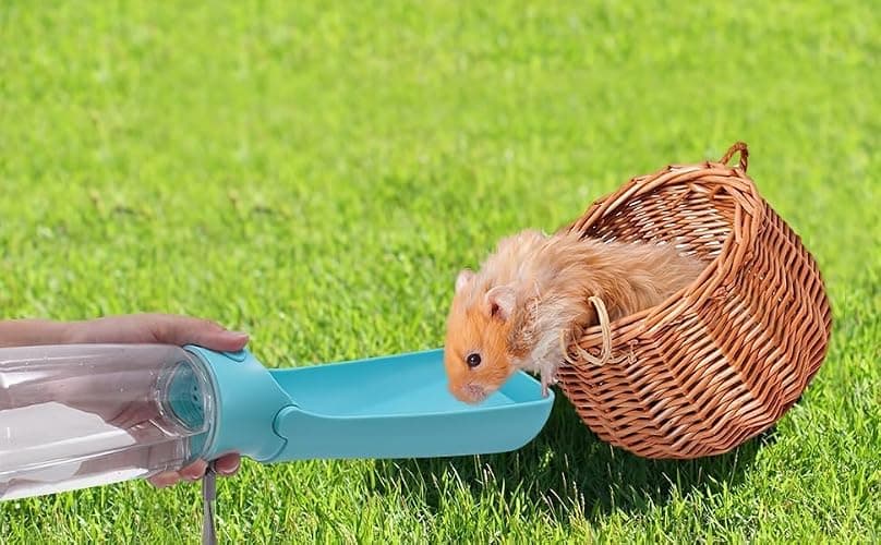SOICTA Portable Dog Small Animals Water Bottle for Walking 19 OZ or 12 OZ Pet Water Bottles for Puppy Medium Large Dogs Little Animals Water Dispenser Dog Small Animals Water Bowl thumbnail 7