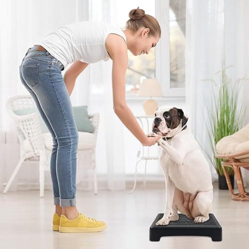 YEXEXINM Dog Training Place Board with Non-Skid Surface, Dog Platform for Training, Portable Dog Agility Platform, Dog Training Stand, Dog Training Equipment Suitable for Small Dogs, 17x13x3.14Inch thumbnail 6