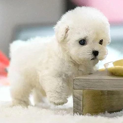 Interactive Walking Dog Toys for Kids 2025 New My Realistic Robot Puppy,An Puppy Toy That Can Walk, Bark And Wag Its Tail An Adult Behaves Like A Real Dog, Plush For Boys Girls Present Gifts - @001 thumbnail 5