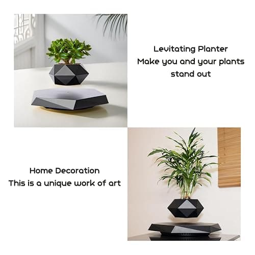MOOCCI Levitating Plant Pot Floating Plant Potted Plant, Ideal Home Gift for Father's Day, Classmates for Halloween, Thanksgiving, Christmas thumbnail 6