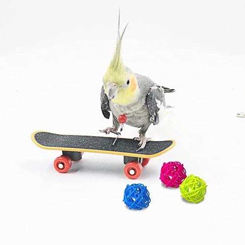 Saderoy 5 Packs Bird Toys Parrot Training Toys Parrot Wooden Block Puzzles Toy Bird Basketball Toy Small Sepak Takraw Bird Skateboard Bird Stacking Toy for Birds Parrot Training thumbnail 4