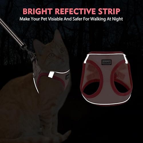 Betmaypet Cat Harness and Leash Set, Soft and Breathable Vest with Reflective Strip, Escape Proof Kitten Harness, Easy to Wear for Cats Walking and Traveling (Purple, M) thumbnail 3