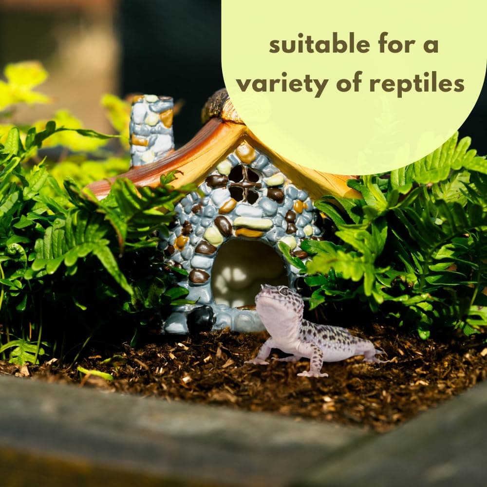 Garden Mile Mushroom House, Durable Resin, Hibernation Area, Shelter, Predator Proof, Outdoor Entrance, Feeding Area, Frog House, Outdoor Wildlife Entrance, Pet Cubicle thumbnail 8