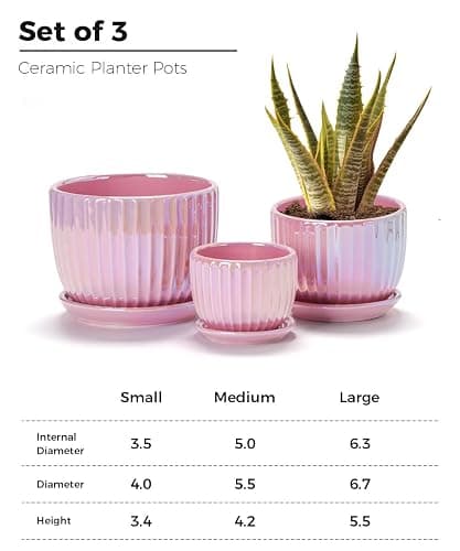 Ton Sin Pink Gold Ceramic Flower Pots, 4"+5"+6" Inch Small Glazed Succulent Planters with Drainage Hole,Modern Indoor Decorative Plant Pots Set of 3,Garden Pots with Saucer thumbnail 3