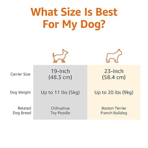 Amazon Basics Two-Door Top-Load Hard-Sided Pet Travel Carrier, 58.4 cm thumbnail 3