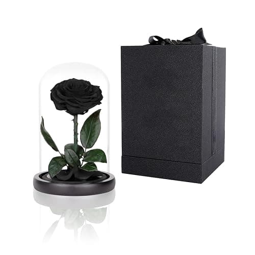 Preserved Roses Black Roses in Glass Dome, Medium, Preserved Flowers for Mothers Day, Gifts for Women - Image 1