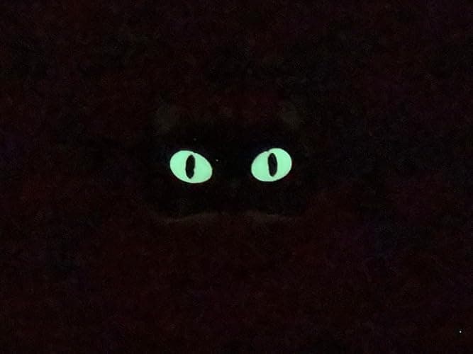 Black Cat in Pumpkin Fidget Toy – 3D Printed Clicker Toy with Glow-in-The-Dark Eyes – Halloween Cat Desk Toy thumbnail 5