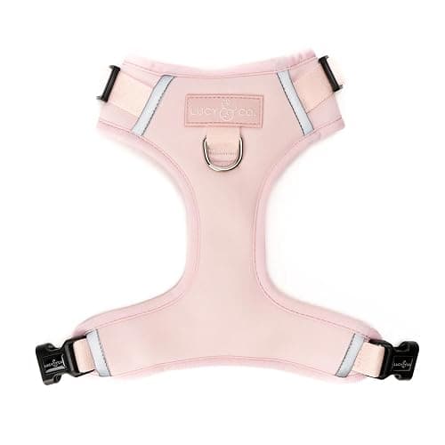 Lucy & Co. The Rosewater No-Pull Dog Harness - Size Large - Vest to Stop Pulling & Walk Easy - Comfortable Leash Training Product w/Adjustable Chest & Neck Straps - Image 1