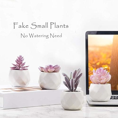 CADNLY Fake Succulent Plant Set - Artificial Desk Plants for Women Desk - Realistic Faux Succulents in Ceramic Pots - Mini Purple Decor for Bedroom Bathroom Office Shelf 4 Pack thumbnail 5