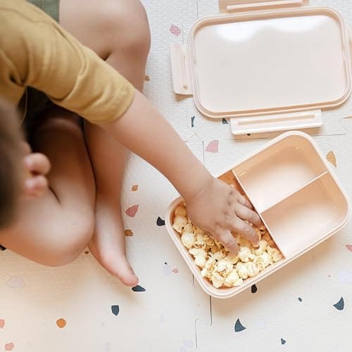 3 Sprouts Recycled Plastic Bento Box for Kids - Premium Eco-Friendly Kids Bento Lunch Box - Leakproof Kid Toddler Lunch Box for Daycare with Multiple Compartments, Microwave & Dishwasher Safe - Sand thumbnail 2