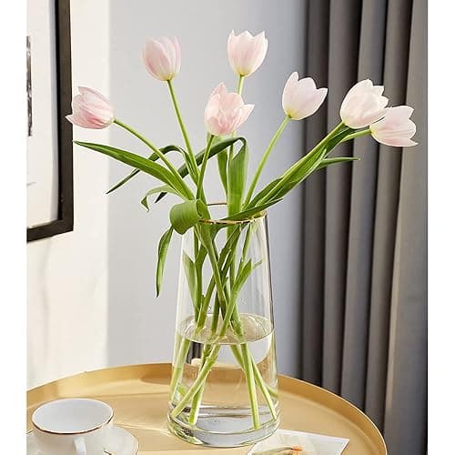 FUNSOBA Clear Glass Flower Vase with Gold Mouth for Centerpieces Home Wedding Decoration (1, Large 5.2" x 9.9“) - Image 1