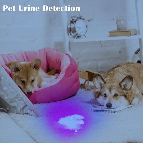 Waklyte Black Light UV Light, 21 LED 395nm UV Flashlight, Powerful Mini Blacklight Flashlight, Small Portable Black Light Flashlight for Pet Urine Detection, Scorpion, Resin Curing, Bed Bug, Nails thumbnail 4