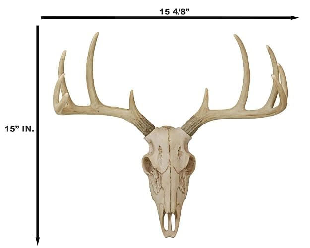 Ebros Gift Rustic Hunter Deer 10 Point Buck Skull Trophy Antlers Wall Mounted Plaque Decor Figurine 14.25" Long Hunter's Antler Rack Theme Deer Buck Hunting Skulls Trophies Hanging Sculpture thumbnail 2