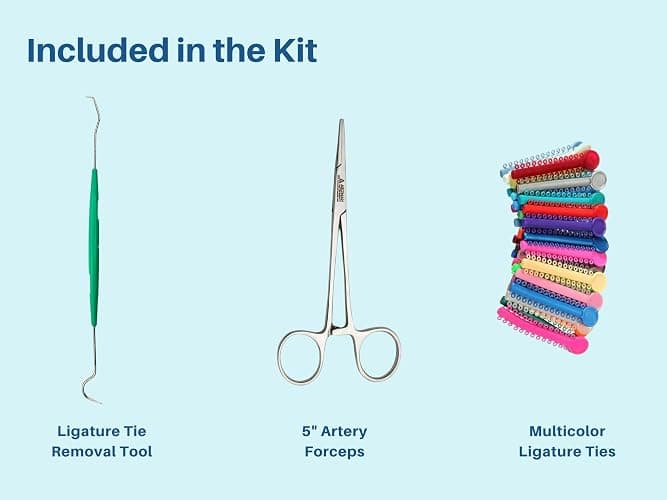Ligas para Brackets Ortodoncia Dental braces color changing kit orthodontic Dental Ligature Ties for Brackets Change Braces Color Easily DIY Braces Color Kit 1040pcs thumbnail 6