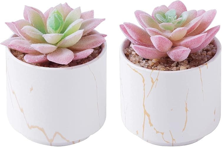 zenmag Succulents Plants Artificial, Mini Fake Succulents in White Ceramic Pots for Desk Livingroom Bathroom and Home Decoration Office Decor for Women Set of 2 Artificial Succulents - Image 1