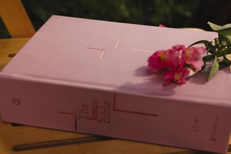 The Jesus Bible, NIV Edition, Leathersoft over Board, Pink, Comfort Print thumbnail 4