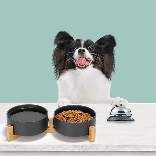 SPUNKYJUNKY Ceramic Dog and Cat Bowl Set with Wooden Stand, Modern Cute Weighted Food Water Set for Small Size Dogs (13.5OZ) & Medium Sized Dogs (28.7OZ) & Cats (1.7 Cups, 2 × Black) thumbnail 3