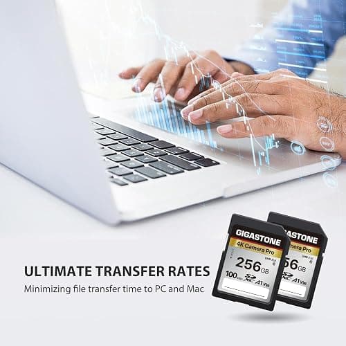 【5-Years Data Recovery】 GIGASTONE 256GB SD Card, 4K Camera Pro, A1 V30 SDXC Memory Card 4K UHD Video Compatible with Canon Digital Camera, with 1 Mini Case thumbnail 5