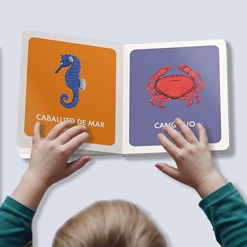 My First Bilingual Library: A Spanish-English Vocabulary Board Book Set of Colors, Numbers, Animals, ABCs, and More (Si Sabo Bilingual Books for Kids) thumbnail 5