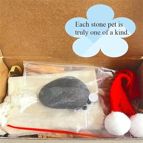 The Original Stone Pet DIY Kit - Adorable Low-Maintenance Desk Buddy | Custom Accessories (Scarf, Googly Eyes, Raffia) & Travel Bag | Perfect White Elephant & Birthday Gift thumbnail 7