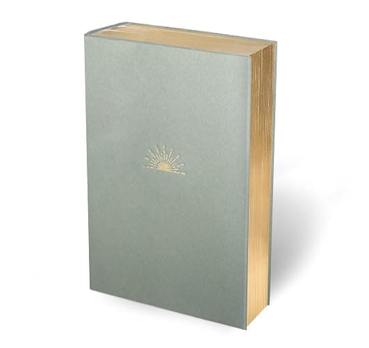 NLT DaySpring Hope & Encouragement Bible (Hardcover Deluxe, Seafoam Green) thumbnail 7