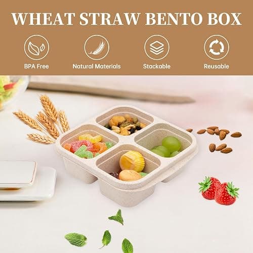 rngwaper 5 Pack Bento Lunch Box，4 Compartment Snack Containers，Divided Bento Snack Box，Meal Prep, Lunch Box Kids/Toddle/Adults,Food Storage Containers for School, Work and Travel (Multicolor-1) - Multicolor-5pack thumbnail 3