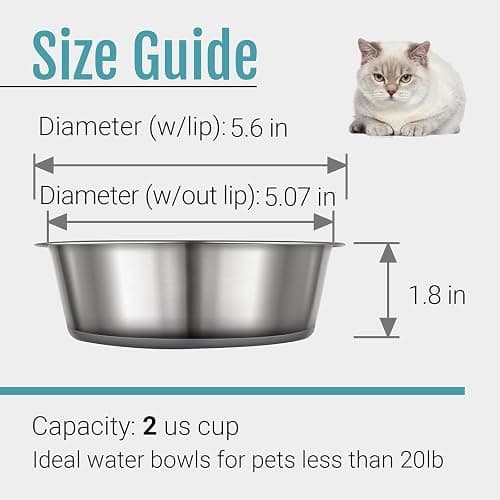 PEGGY11 Nonslip Stainless Steel Dog Cat Bowls, 2 US Cup Each, 2 Pack | No slide silicone bottom, Dishwasher safe, Easy to clean, Stackable design thumbnail 5