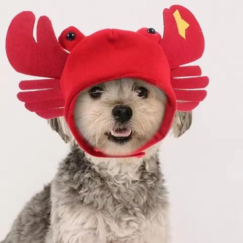 Dzrige Halloween Pet Crab Hat Red Plush Crab Hat Funny Cat Pup Small Pet Hat Halloween Crab Headwear for Halloween Masquerade Dress Up Cosplay thumbnail 5