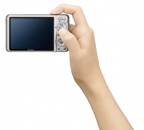 Sony Cyber-shot DSC-W290 12.1 MP Digital Camera with 5x Optical Zoom and Super Steady Shot Image Stabilization (Silver) thumbnail 11