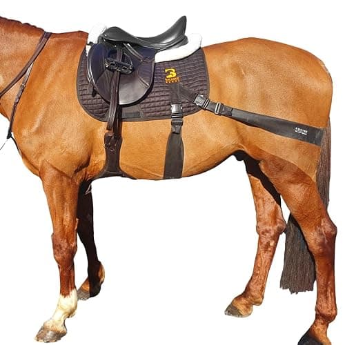 Equine Balance Bands Equine Band System - Core Training Aid for Horses. Saddle Pad and Equibands System - Image 1