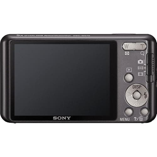 Sony Cyber-Shot DSC-W570 16.1 MP Digital Still Camera with Carl Zeiss Vario-Tessar 5X Wide-Angle Optical Zoom Lens and 2.7-inch LCD (Silver) thumbnail 2