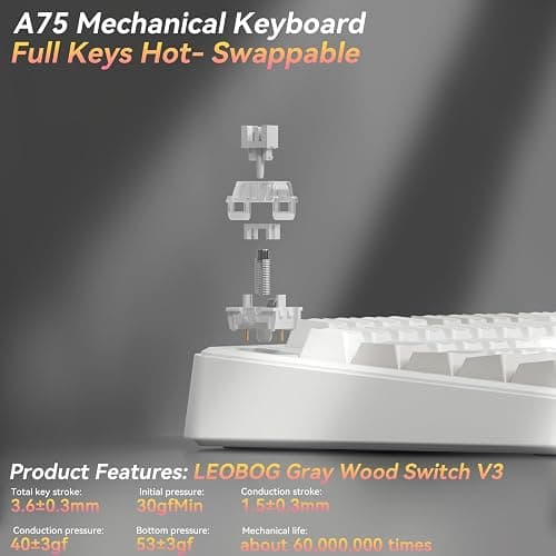 SOLAKAKA A75 75% Wireless Mechanical Keyboard, Hot Swappable Gaming Keyboard with Multifunction Knob & RGB, Gasket Mounted Creamy Keyboard, PBT Keycaps, Compact Layout for Win/Mac/PC thumbnail 5