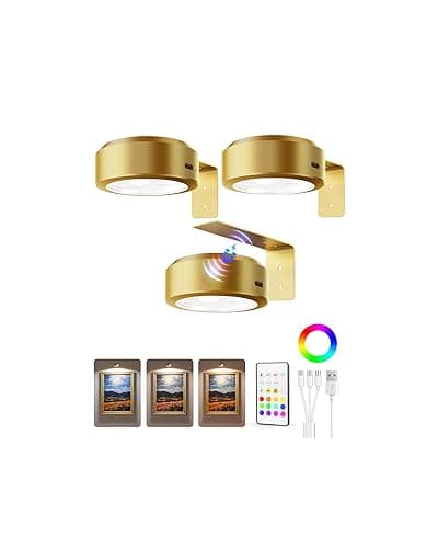 EZVALO Picture Lights for Wall, 2000mAh Rechargeable Battery Magnetic Poster Lights with 3 Color Temps & 12 RGB, Remote Dimmable Timer Painting Light, Wall Decor Light for Art Display, Frame (3 Pack)