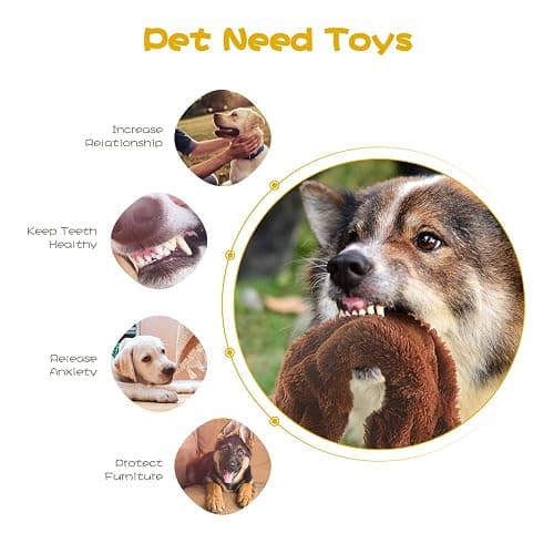 (5 Pack) Variety no-stuffing dog toys thumbnail 2