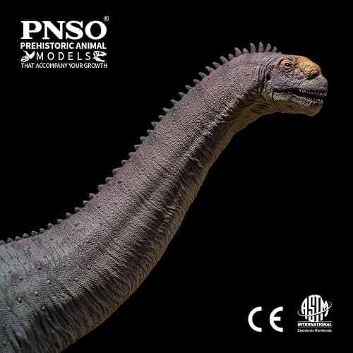 PNSO Prehistoric Dinosaur Models:85 Njor the Camarasaurus thumbnail 5