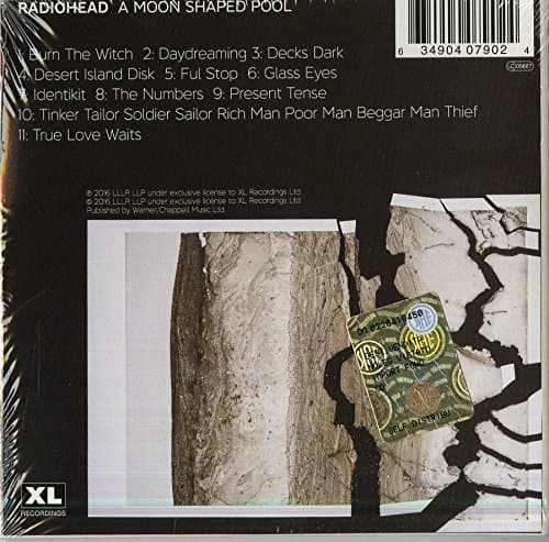 A Moon Shaped Pool thumbnail 2