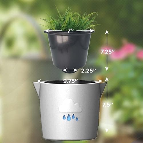 King's Gardening Clever Pot - Self Watering Pot for Indoor Outdoor Use, Animated Cloud Water Level Indicator, UV Resistant Planter, Ideal for Flowers, African Violets, and More 8" (Pearl Cloud) thumbnail 4