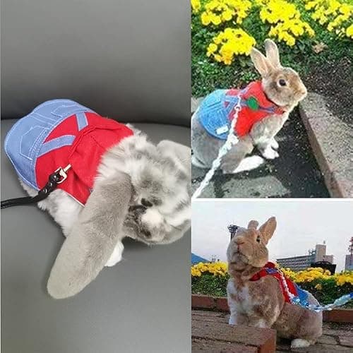Anelekor Small Pet Costume Rabbit Clothes Ferret Hoodies Sweatshirt Bunny Vest Harness and Leash Set Kitten Sweater Small Animals Outfits for Chihuahua Kitty Mini Dog and Small Breeds (A, S) thumbnail 4