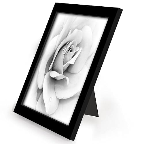 Americanflat 8x8 Picture Frame with Polished Plexiglass - Set of 12 - Signature Collection - Picture Frames with Engineered Wood - Square Frame for Tabletop and Wall Display - Black thumbnail 7