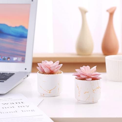 ZENIDA Artificial Plants and Succulents in 2 White Ceramic Pots,Small Fake Plants for Office and Desk Decor,Bathroom, Bedroom,Shelves for Women thumbnail 5