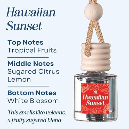 CANDECraftCo Car Air Hanging Fragrance Oil, Car Auto Freshener for Essential Oils, Scents Fragrance Aromatherapy Automobile Diffuser, Long Lasting (Hawaiian Sunset) thumbnail 2
