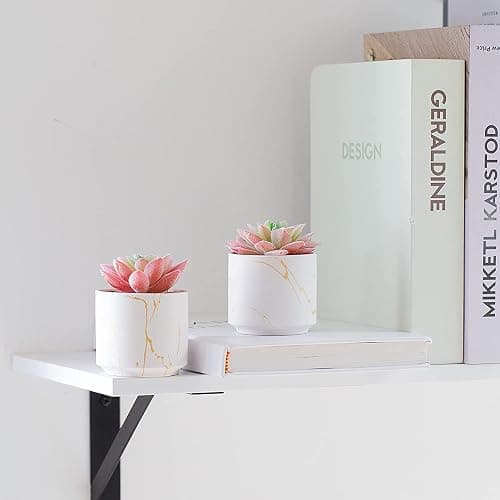 zenmag Succulents Plants Artificial, Mini Fake Succulents in White Ceramic Pots for Desk Livingroom Bathroom and Home Decoration Office Decor for Women Set of 2 Artificial Succulents thumbnail 7