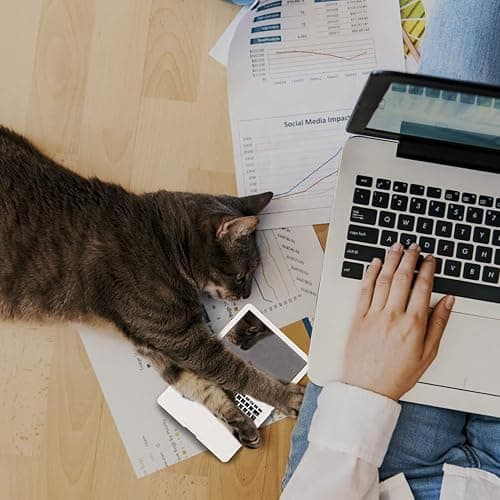 ebuddy Mini Dollhouse Toy Cat Laptop Tiny Fake Computer Mirror for Cat (White) thumbnail 8