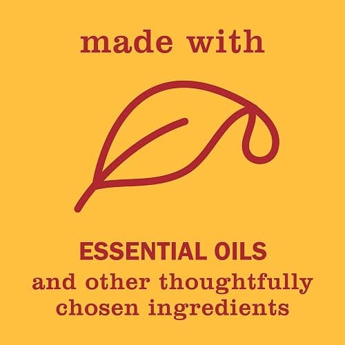 MRS. MEYER'S CLEAN DAY Hand Soap, Clementine, Made with Essential Oils, 12.5 oz - Pack of 3 thumbnail 6