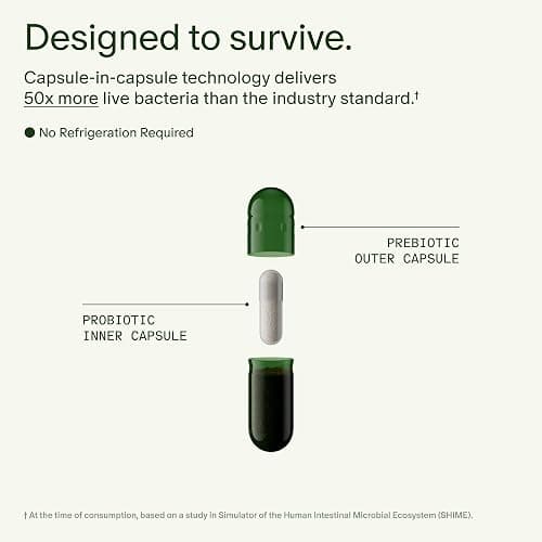 Seed DS-01 Daily Synbiotic - Prebiotic and Probiotic for Women & Men - Digestive Health, Gut Health, Immune Support, Bloating & Constipation Relief - Vegan & Shelf-Stable - 60 Capsules (30-Day Supply) thumbnail 4