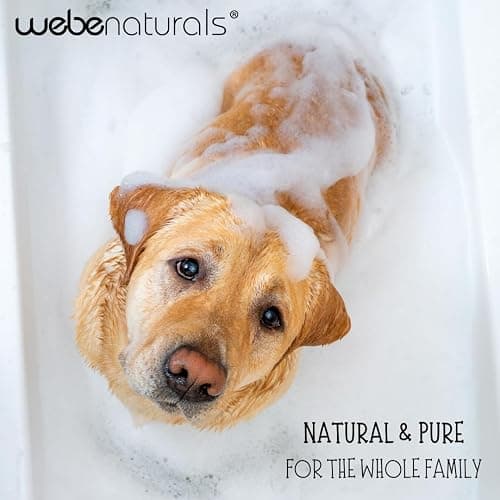WEBE Pure Unscented Castile Liquid Soap Refill, 64 Ounce | Vegan & Gluten Free Non-GMO, For Face, Body Wash, Dishes, Pets & Laundry thumbnail 7