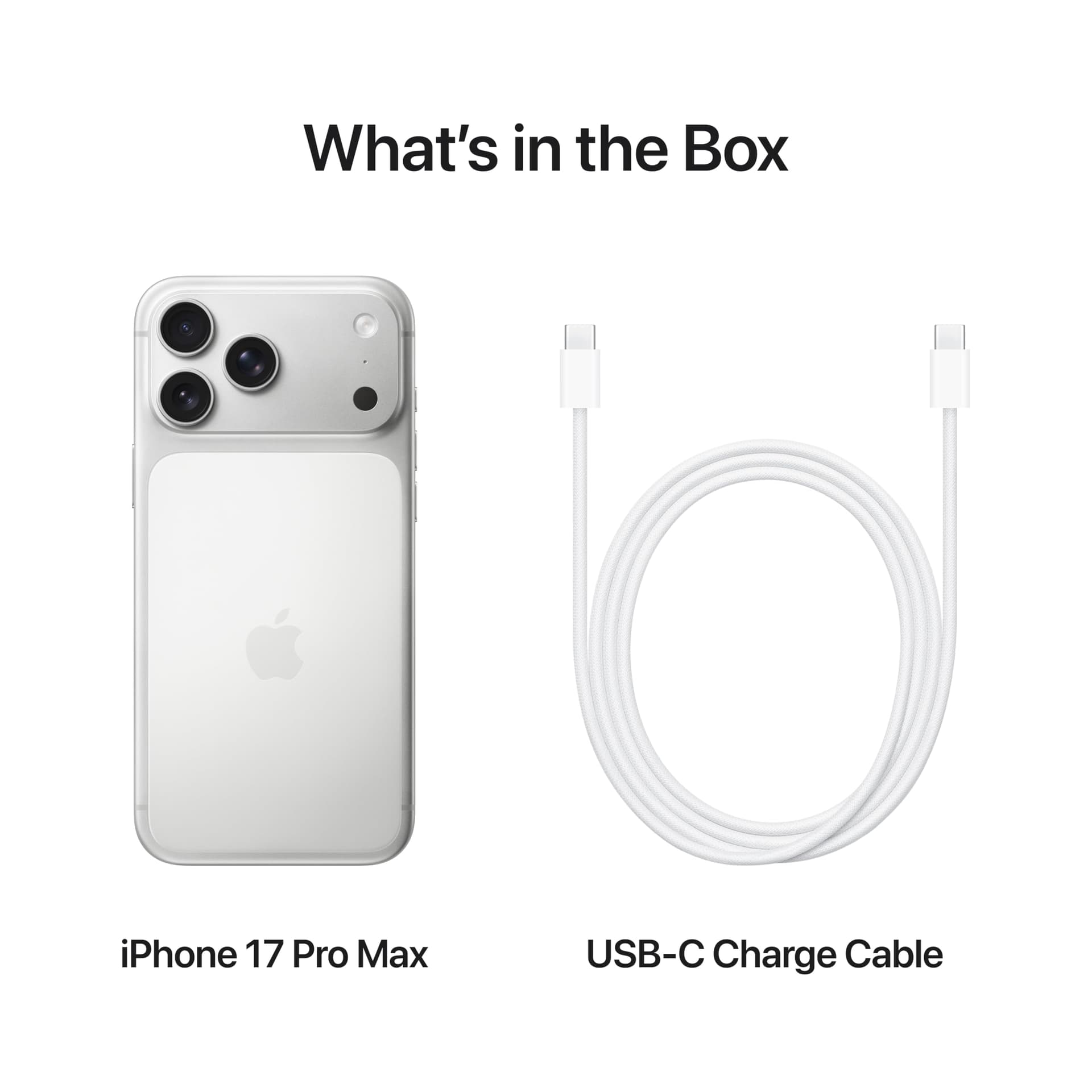 Apple iPhone 17 Pro Max 256 GB: 6.9-inch Display with ProMotion, A19 Pro Chip, Best Battery Life in Any iPhone Ever, Pro Fusion Camera System, Center Stage Front Camera; Silver thumbnail 6