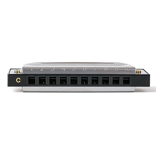REGIUX Blues Harp Diatonic Harmonica, 10-Hole Key of C, Beginner Harmonica for Students & Adults, with Protective Case thumbnail 6