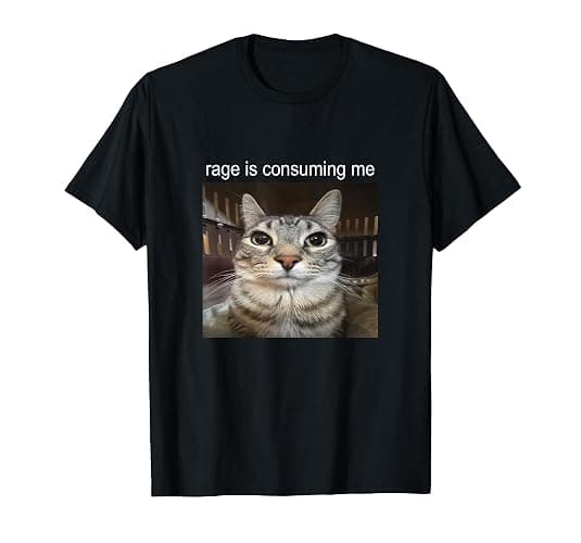 Rage is Consuming Me Silly Staring Cat Meme T-Shirt - Image 1